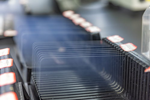 城市巡礼丨重庆 以高品质特种钢铸就高质量发展脊梁