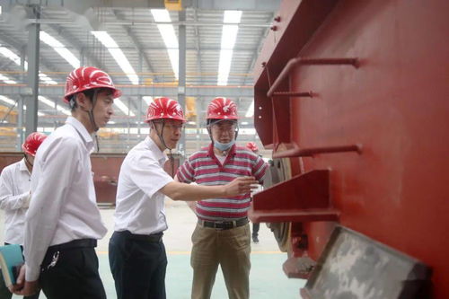 追求卓越品质 打造大国重器｜大方集团承制宝钢湛江项目 上海梅山钢铁项目顺利通过专家A检